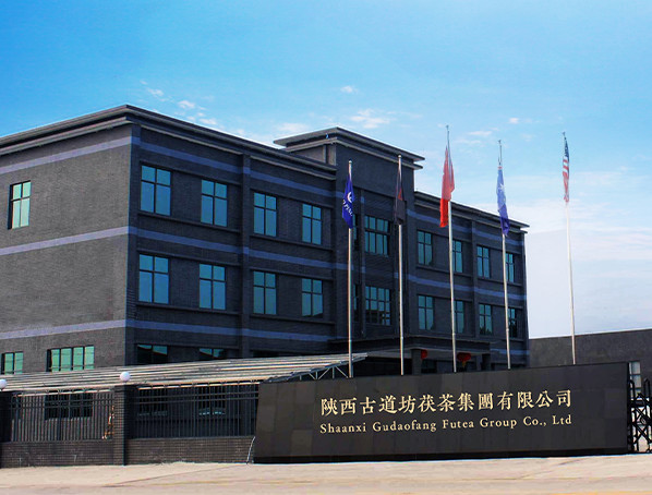 Китай Shaanxi Gudaofang Futea Group Co., Ltd. Профиль компании